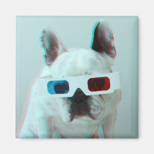 Íman Buldogue francês com vidros 3D