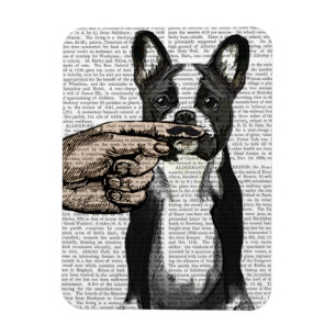 Íman Buldogue francês e bigode indicador