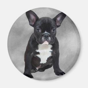 Íman Buldogue Francês Sentado Aquarela Pintura Óleo