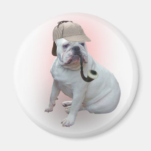Íman Buldogue inglês