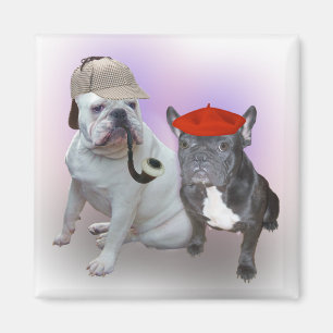 Íman Buldogue inglês e buldogue francês