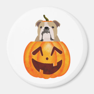 Íman Buldogue Pumpkin
