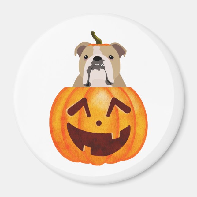 Íman Buldogue Pumpkin (Frente)