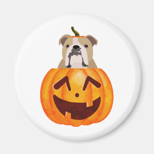 Íman Buldogue Pumpkin