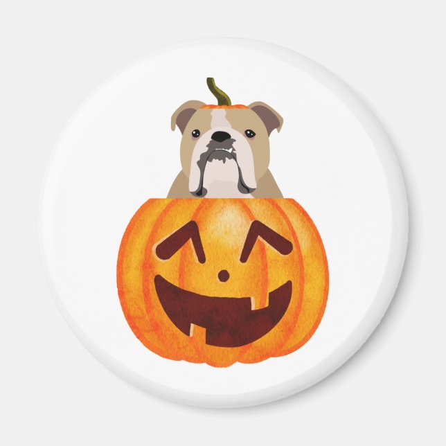 Íman Buldogue Pumpkin (Frente)