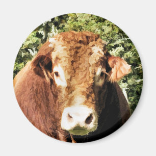 ÍMAN BULL
