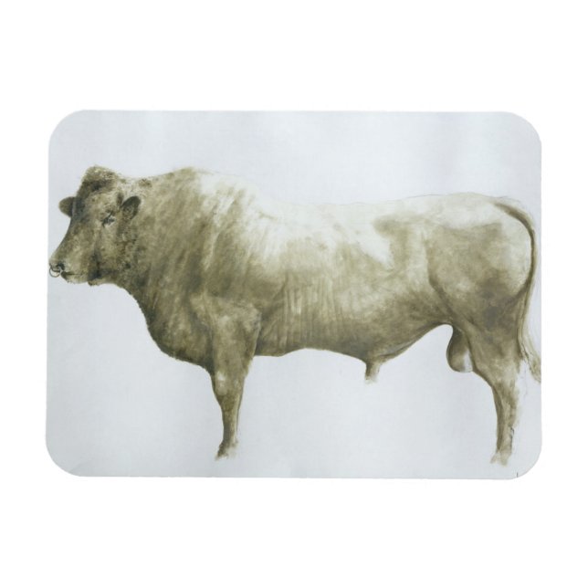 Íman Bull 2004 (Horizontal)