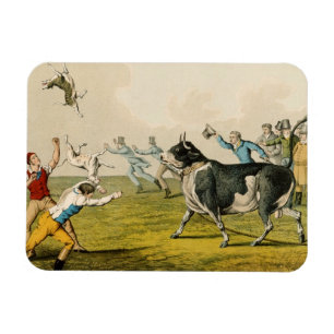 Íman "Bull Baiting", pub. de Thomas McLean, 1820,