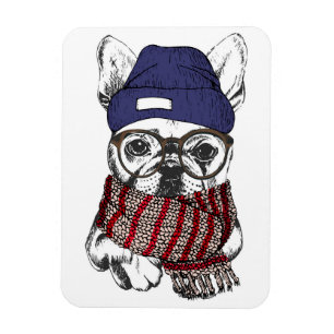 Íman Bull Dog francês hipster
