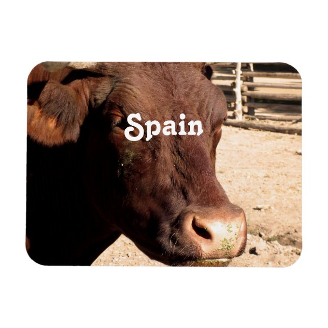 Íman Bull espanhol (Horizontal)