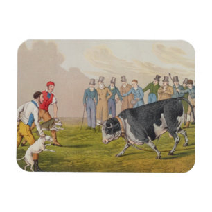 Íman "Bull que atrai", pub.by Thomas McLean, 1820,