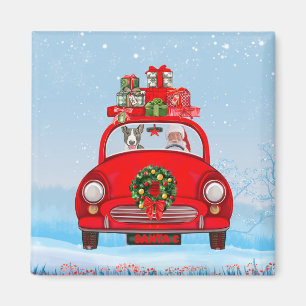 Íman Bull Terrier Dog In Car With Santa Claus