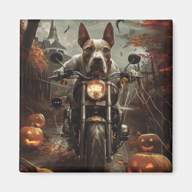 Íman Bull Terrier Riding Motorcycle Halloween Scareen (Frente)