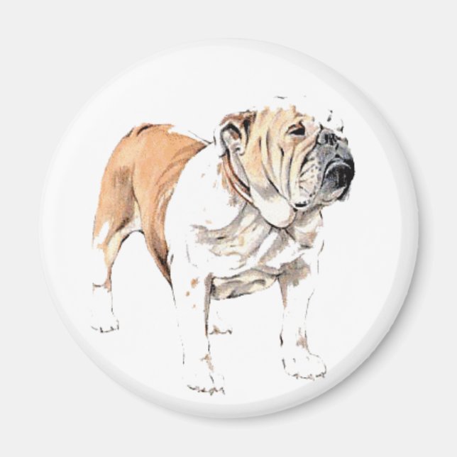 Íman Bulldog (Frente)