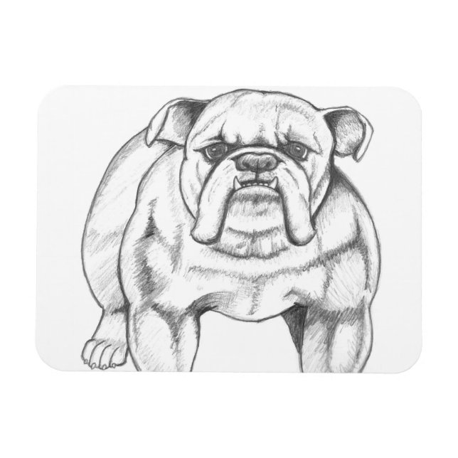Íman Bulldog (Horizontal)