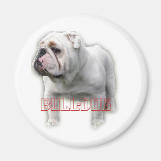 Íman Bulldog ブ ル ド Partes