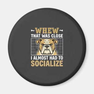 Íman Bulldog Engraçado Socializar Cachorro