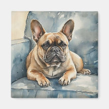 Bulldog Francês