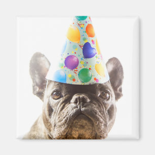 Íman Bulldog Francês com Chapéu da Festa