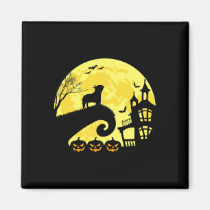 Íman Bulldog francês Moonshine Frenchie Mãe Pai francês