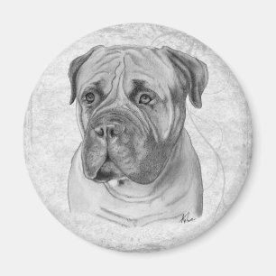 Íman Bullmastiff