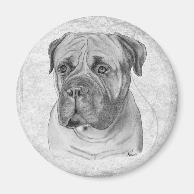 Íman Bullmastiff (Frente)