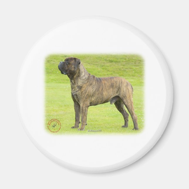 Íman Bullmastiff 9R071D-077 (Frente)