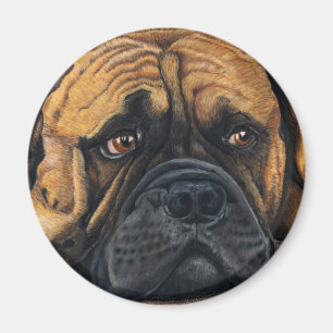 Íman Bullmastiff que espera - arte da raça do cão