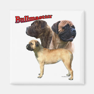 Íman Bullmastiff Trio 2 - Magnet