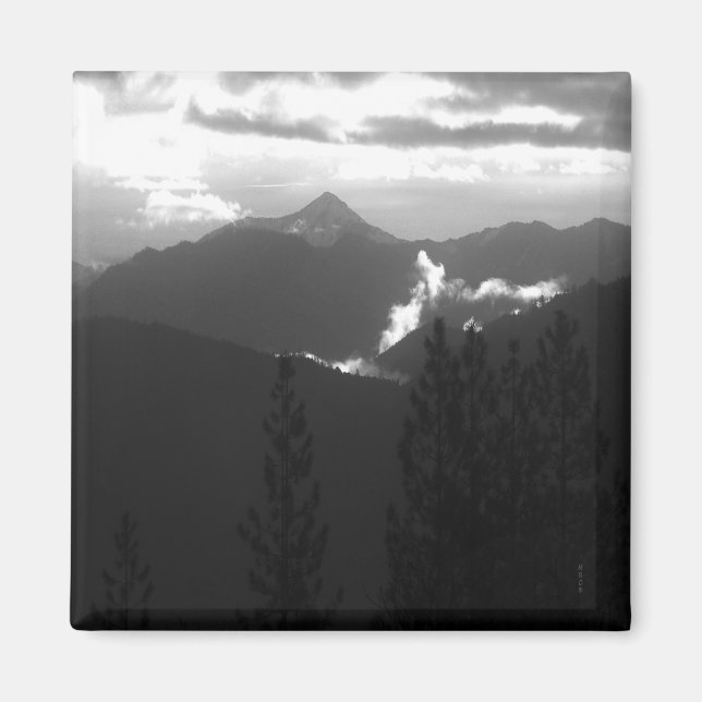 Íman Bully Choop em uma manhã escura... (Frente)