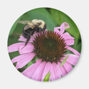 Íman Bumble Bee