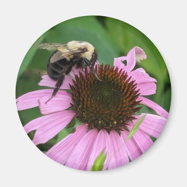 Íman Bumble Bee (Frente)