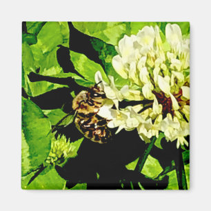 Íman Bumble Bee Magnet