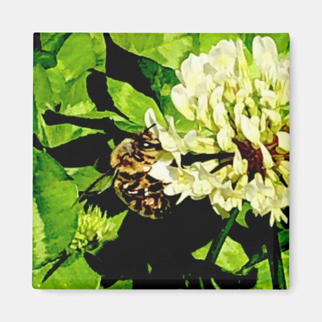 Íman Bumble Bee Magnet (Frente)