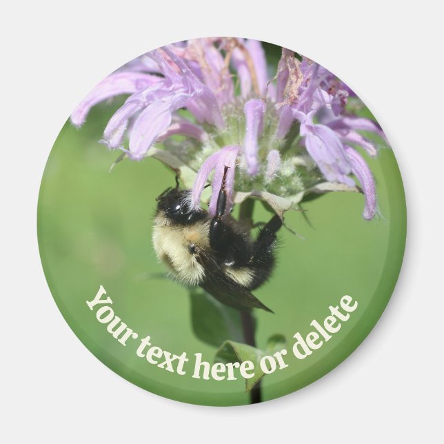 Íman Bumble Bee On Bee Balm Flower Personalized (Frente)