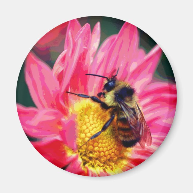 Íman Bumble Bee On Pink Daisy Flower Art  (Frente)