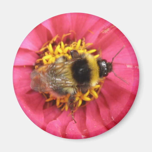 Íman Bumblebee Magnet (Frente)