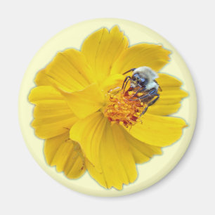 Íman Bumblebee no Cosmos