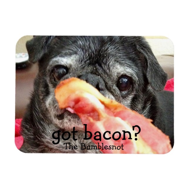 Íman Bumblesno Magnet: tem bacon? (Horizontal)