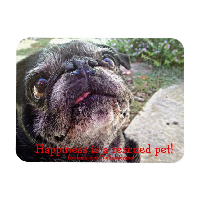 Íman Bumblesnot magnet: Felicidade é um animal de estim (Horizontal)