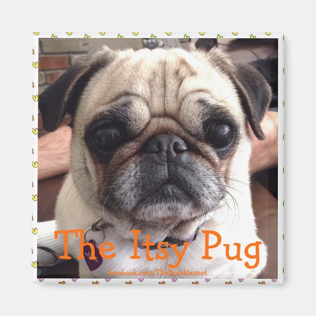 Íman Bumblesnot magnet: O Pug Itsy (Frente)