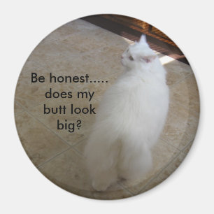 Íman Bumbum grande? - Nenhum gato da cauda