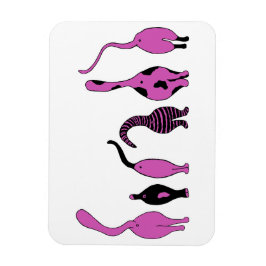 Íman Bumbuns de Gato Roxo