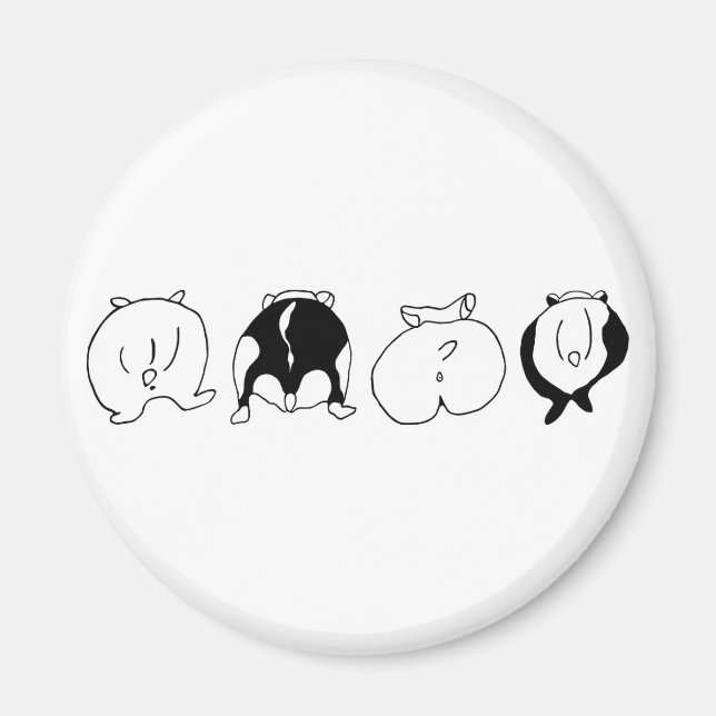 Íman Bumbuns de hamster (Frente)