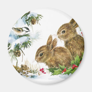 Íman Bunnies e Bird Aproveitem a neve