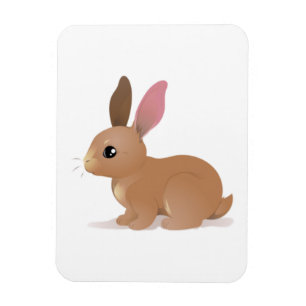 Íman Bunny