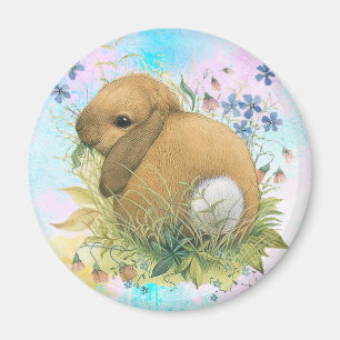 Íman Bunny