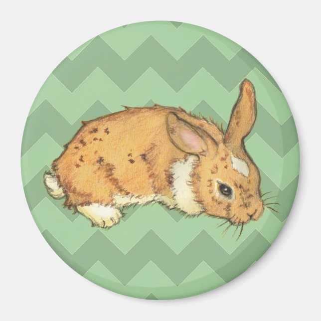 Íman Bunny Sage Chevron Duo (Frente)