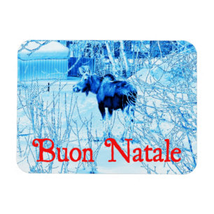 Íman Buon Natale - Urban Moose