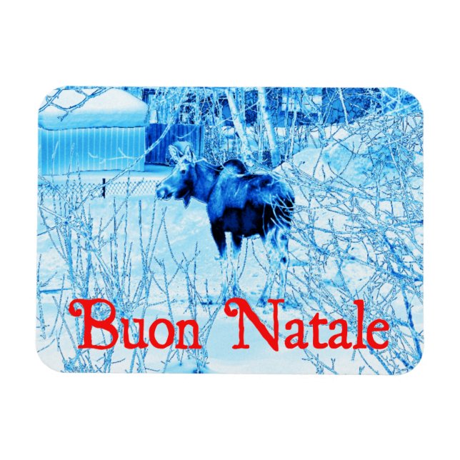 Íman Buon Natale - Urban Moose (Horizontal)